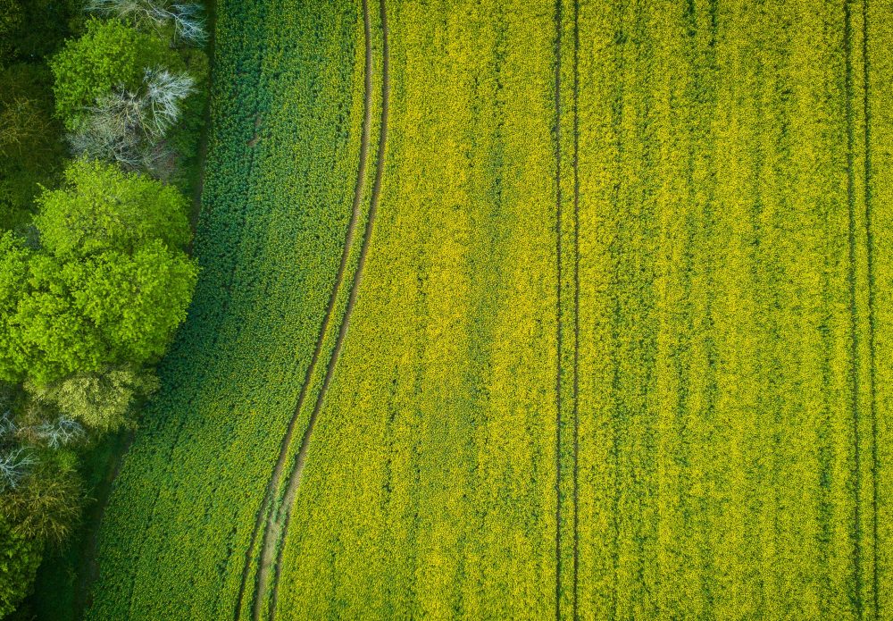 CSBG-33NE-22/27-AGRI-0005