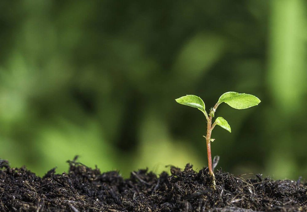 CSBG-41SW-22/27-AGRI-0006