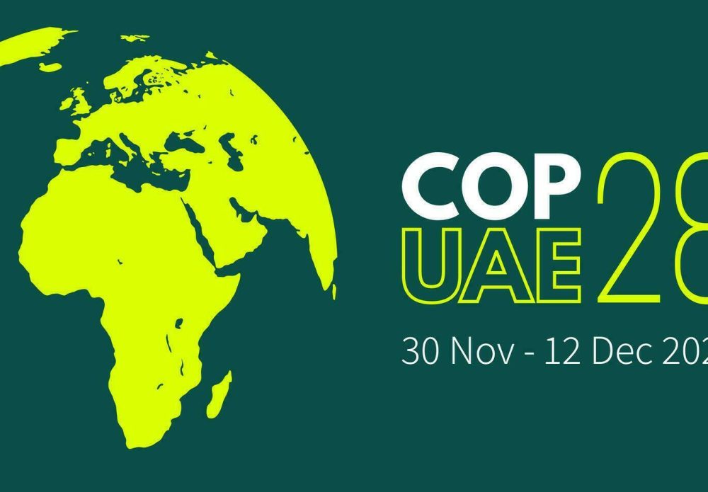 COP 28