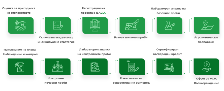 Цикъл BG