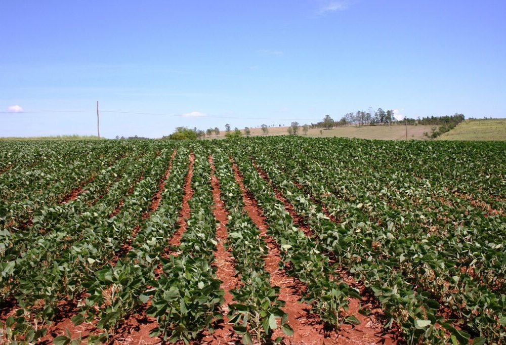 CSBG-33NE-24/29-AGRI-0004