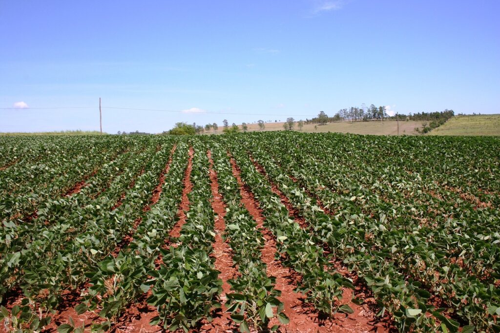 CSBG-33NE-24/29-AGRI-0004
